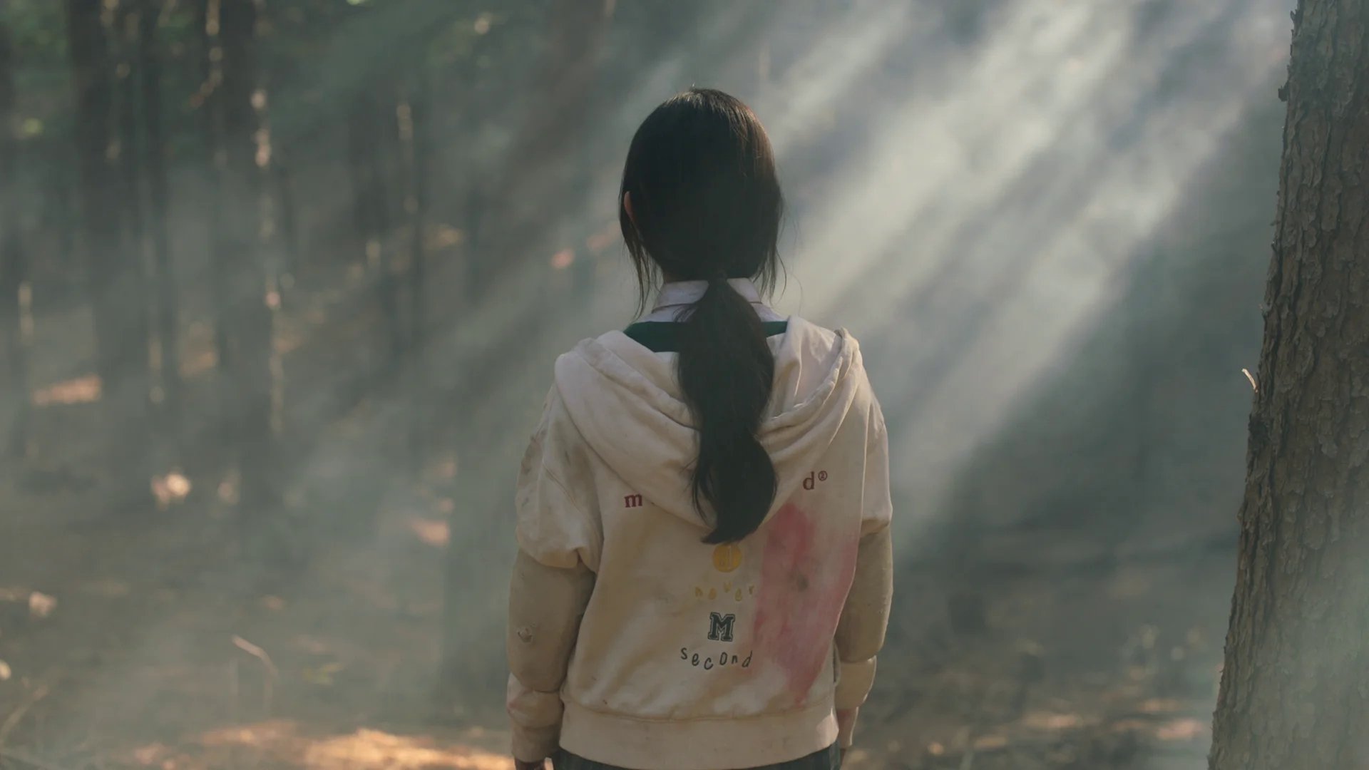Watch All of Us Are Dead Ep 12 Eng Sub