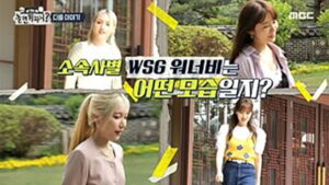 How Do You Play? Episode 142 WSG Wannabe (11) Preview Still
