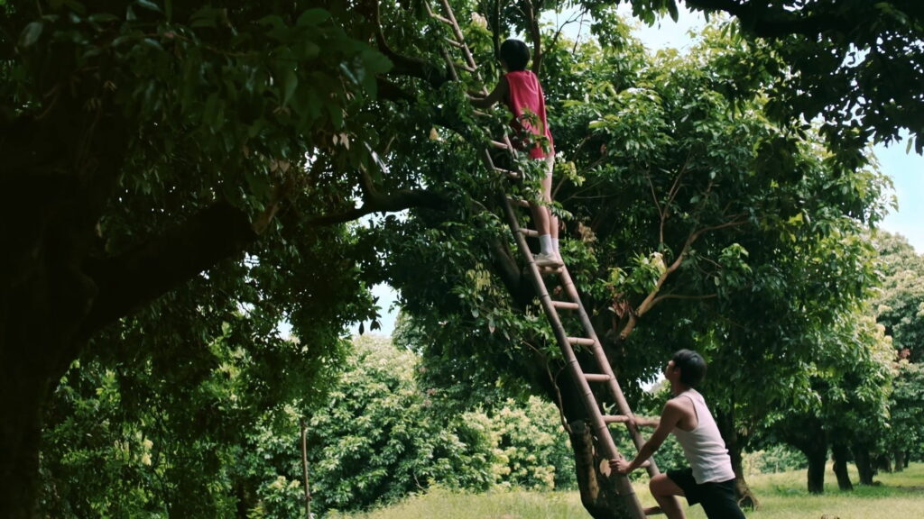 Secrets Happened on the Litchi Island Episode 01