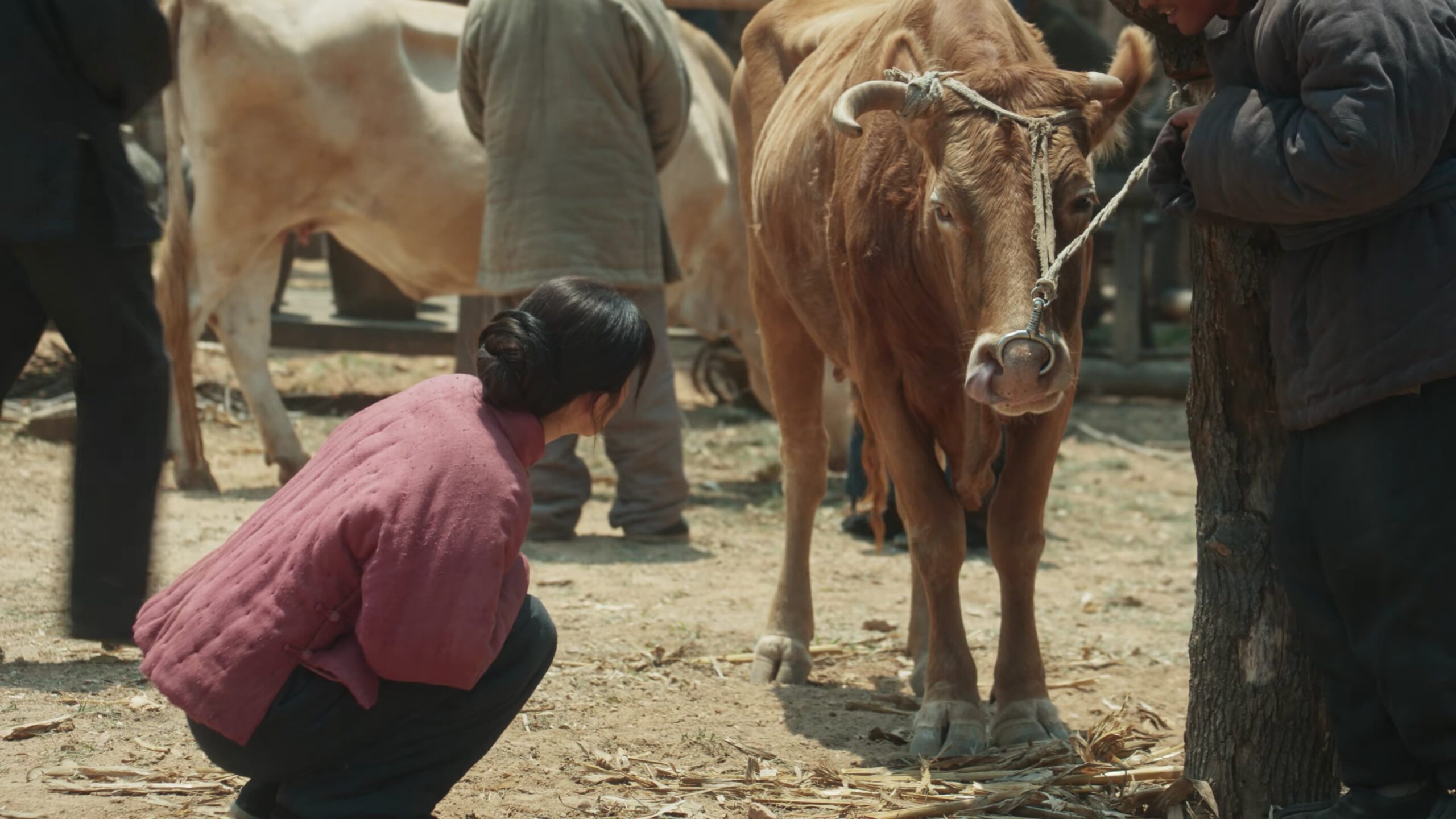 Watch This Thriving Land Ep 10 Eng Sub