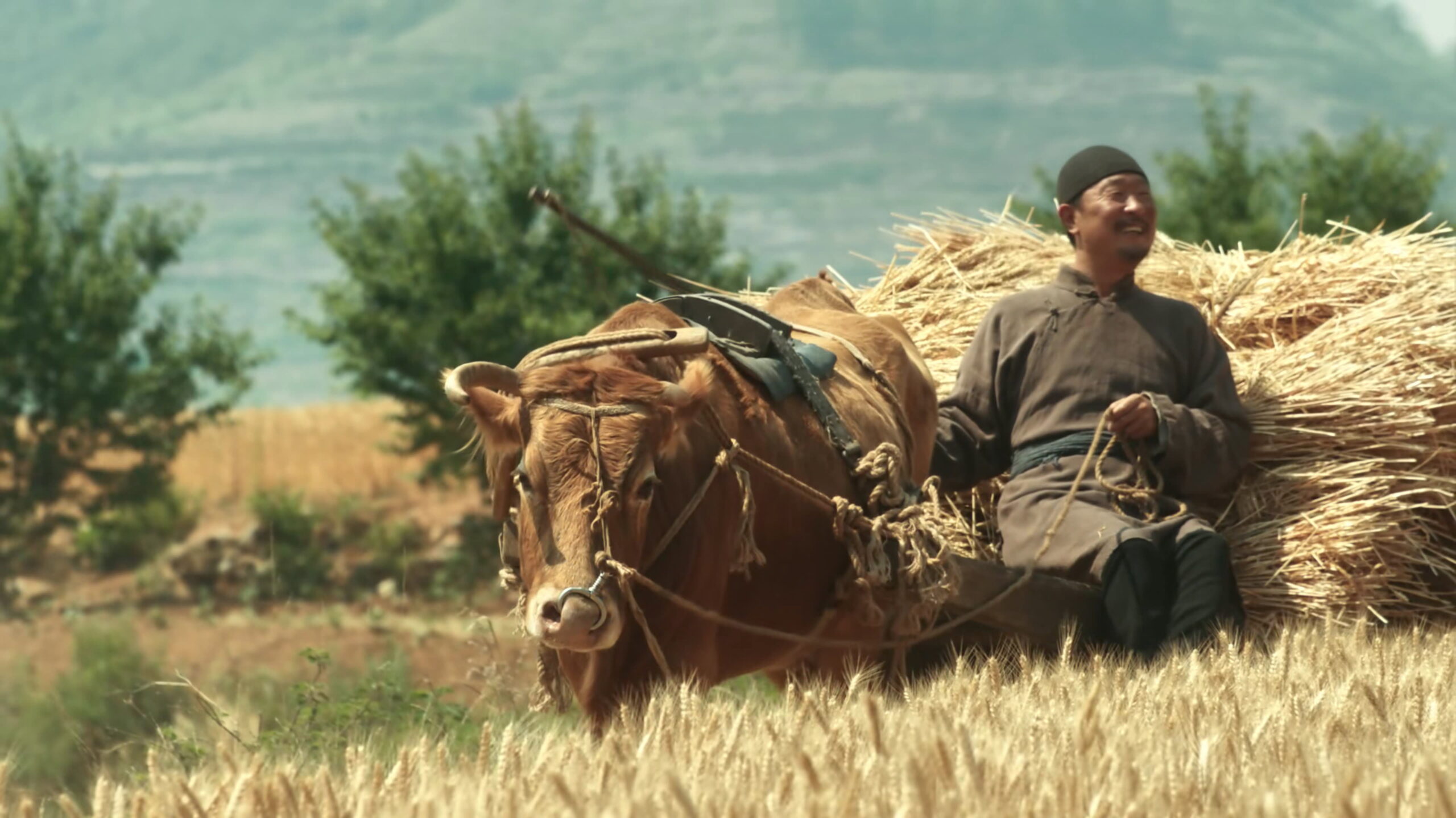Watch This Thriving Land Ep 31 Eng Sub